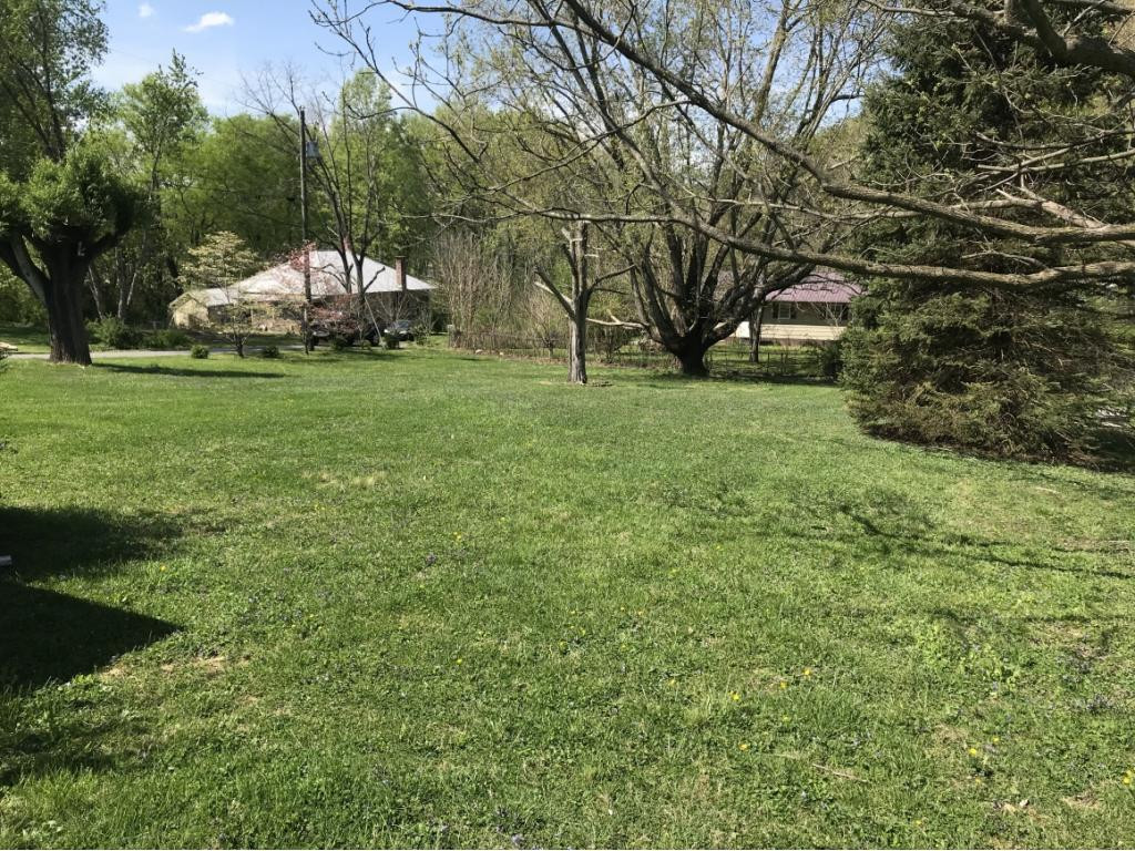 125 Dry Branch Road Erwin, TN 37650 - Photo 4 of 12 Photo 4