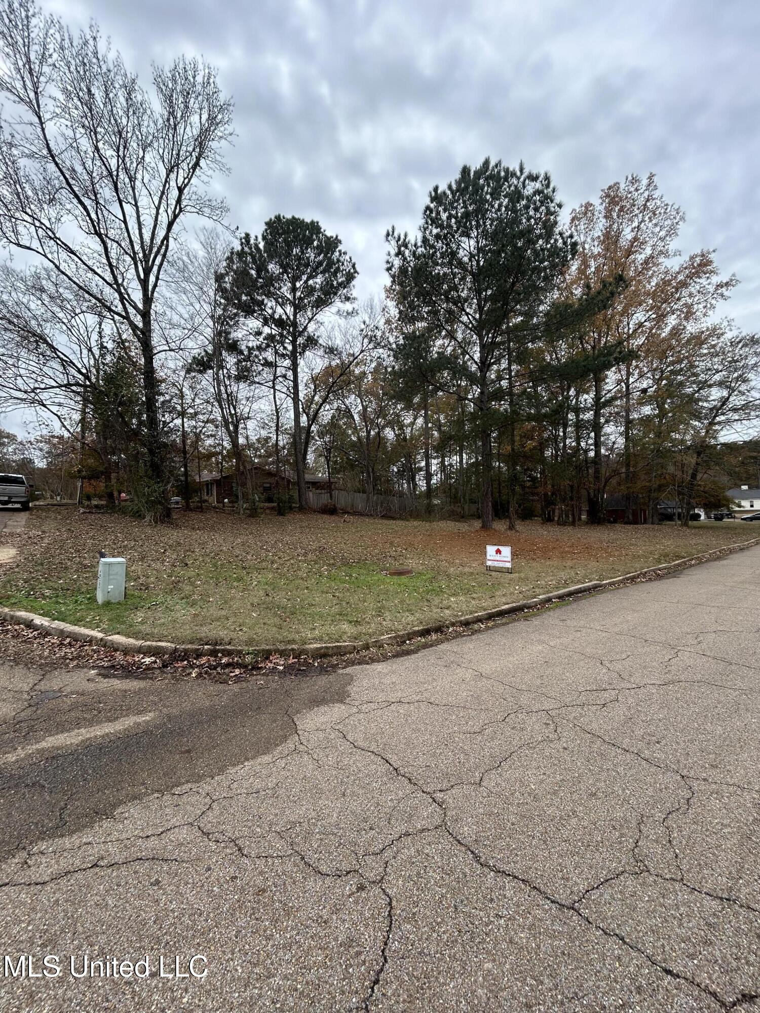 1 Brenmar Street Brandon, MS 39042 - Photo 4 of 4 image2 (3)