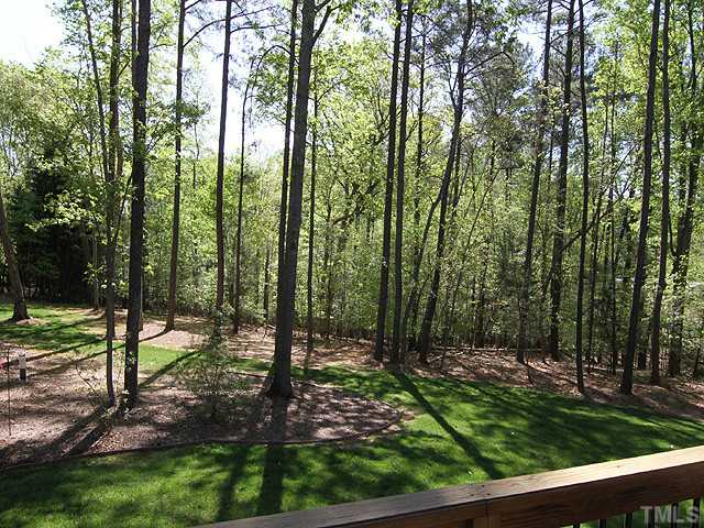6828 Mactavish Way Raleigh, NC 27613 - Photo 23 of 25 a view of a forest with a tree