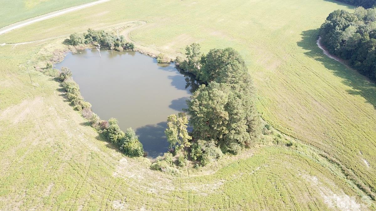 47.52-acres Pilot-Riley Road Zebulon, NC 27597 - Photo 6 of 22 a view of lake view and mountain view