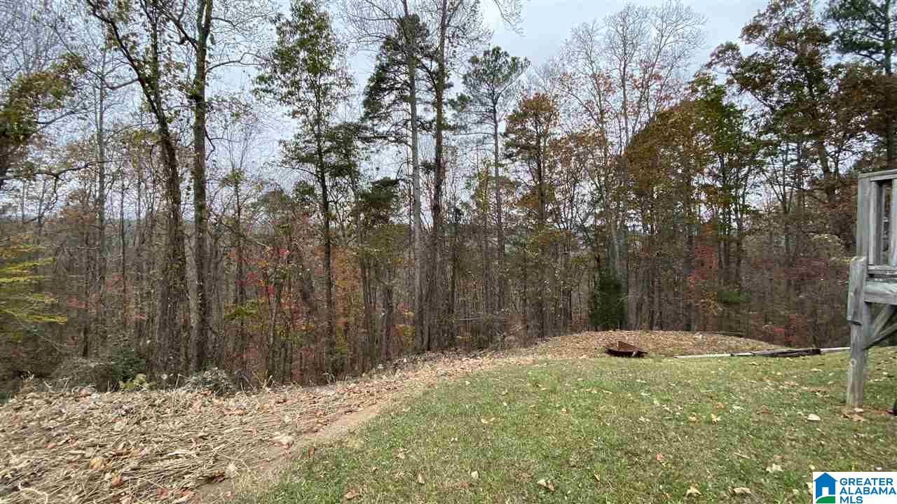 517 Levine Road Odenville, AL 35120 - Photo 21 of 23