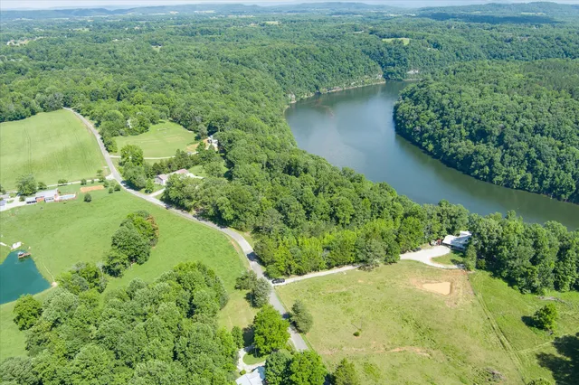 a view of a garden with a lake