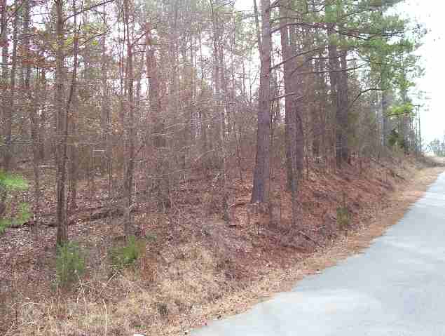 Lot 219 Barrett Waterloo, SC 29384 - Photo 2 of 2 Gallery Image 2