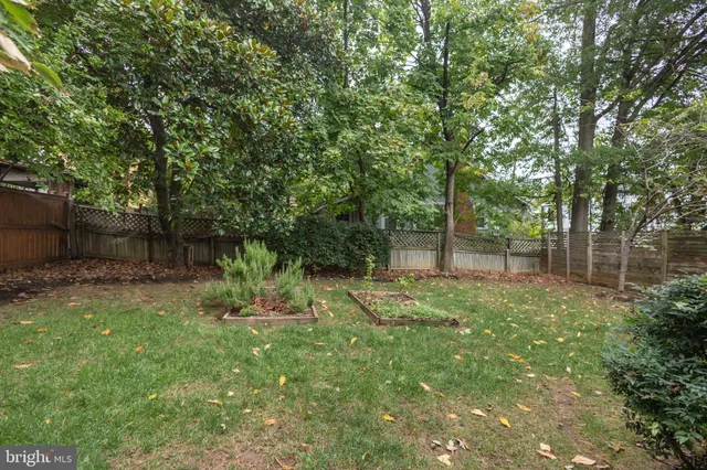 a view of a backyard with large trees