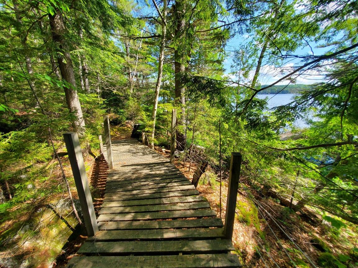 315 Hopkins Pond Road Clifton, ME 04428 - Photo 3 of 50 elevated walkway to lake