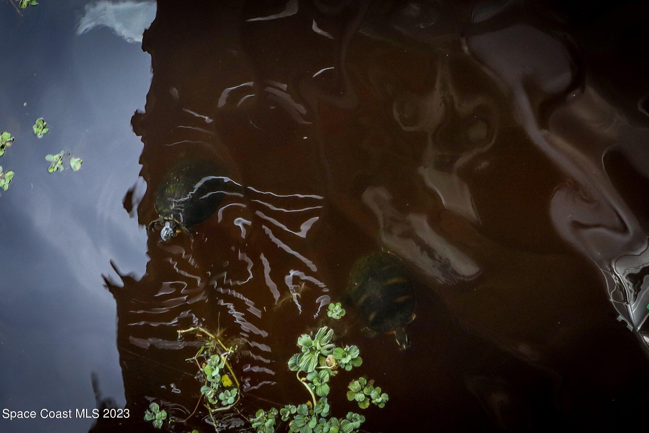 834 Egret Road Cocoa, FL 32926 - Photo 54 of 85 a close up of a sink