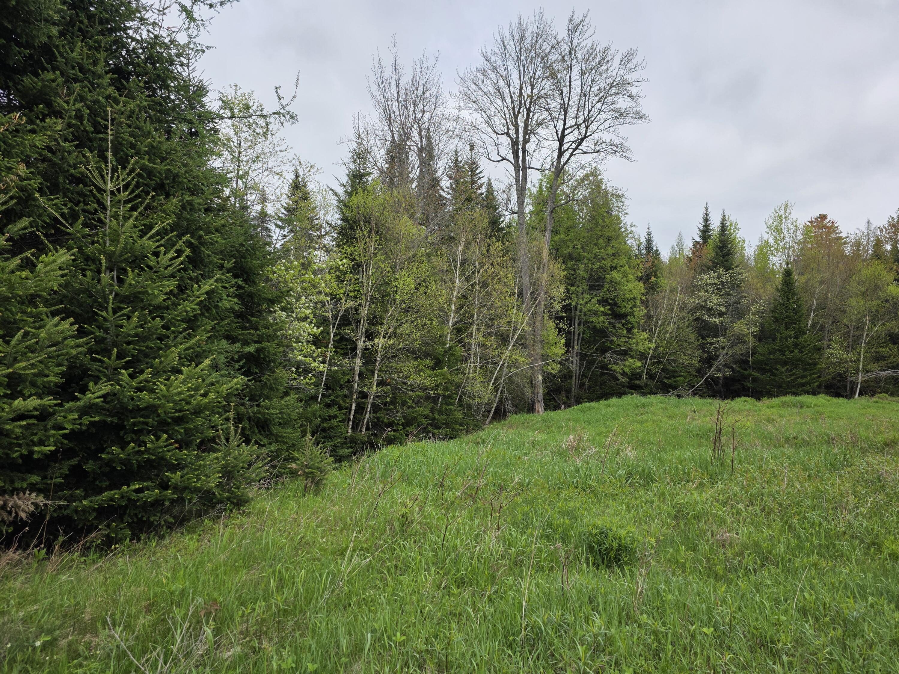 0 Tyler Road Vermontville, NY 12989 - Photo 4 of 5 20250520_124822