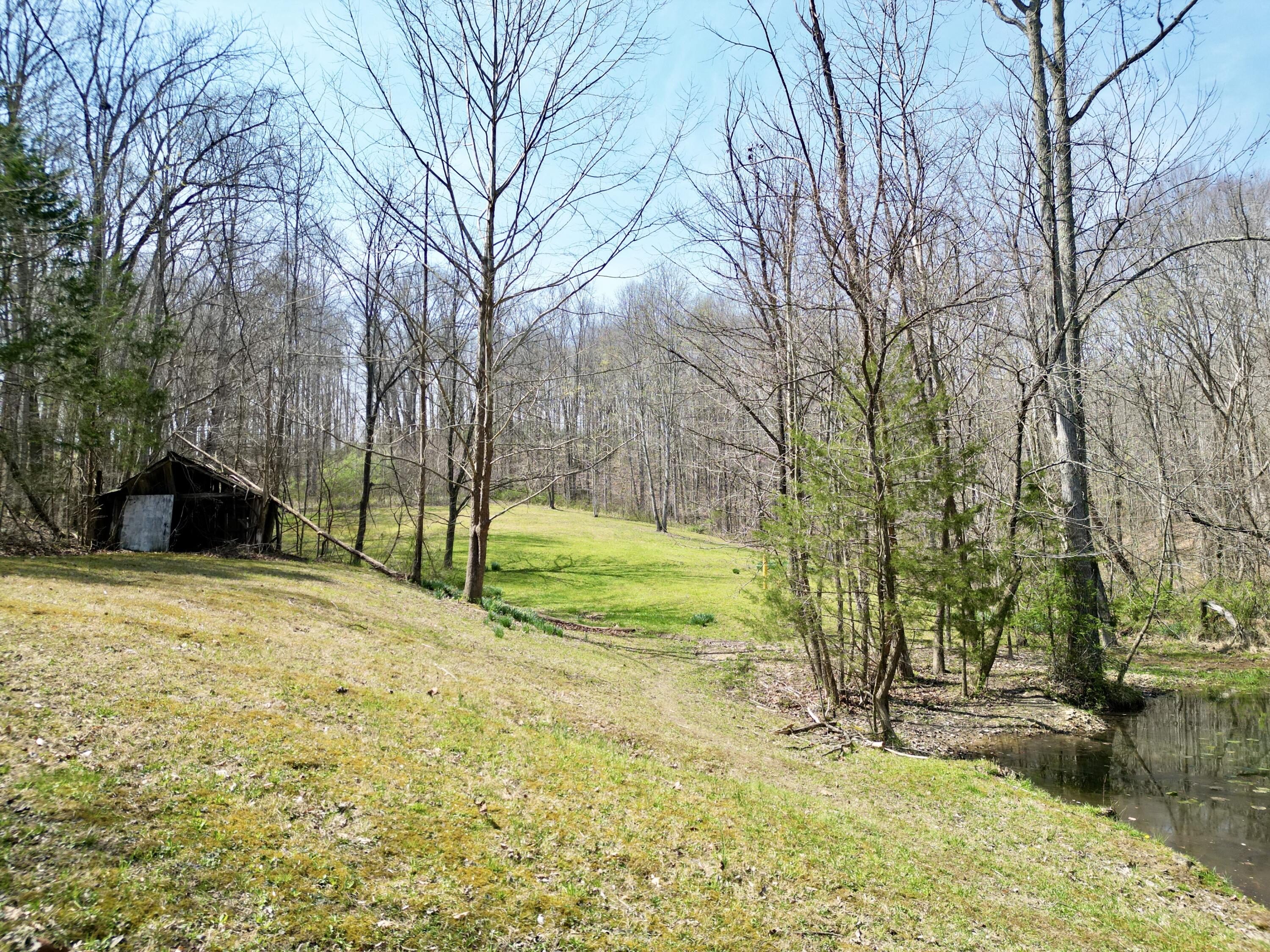 400 D D Wilson Road Knifley, KY 42753 - Photo 87 of 106 dji_fly_20260323_074358_562_177557141028