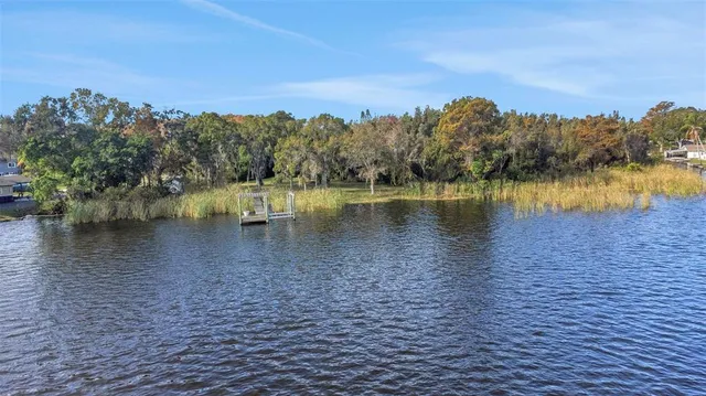a view of a lake with a yard and mountain view