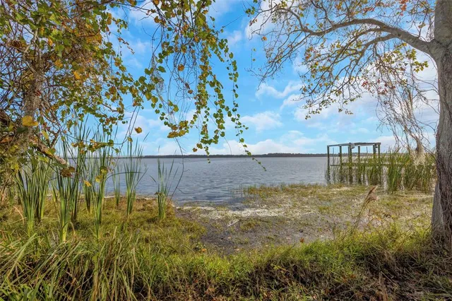 a view of a park with large trees