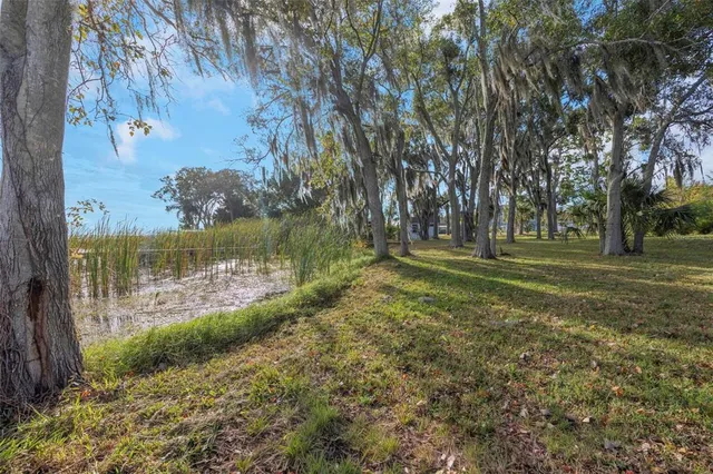 a view of a field with trees