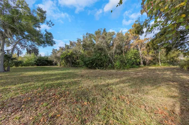 a view of a field with trees