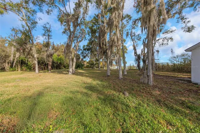 a view of dirt field with trees