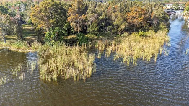 $1,390,000 | 2661 Cyprus Drive, Palm Harbor, FL 34684