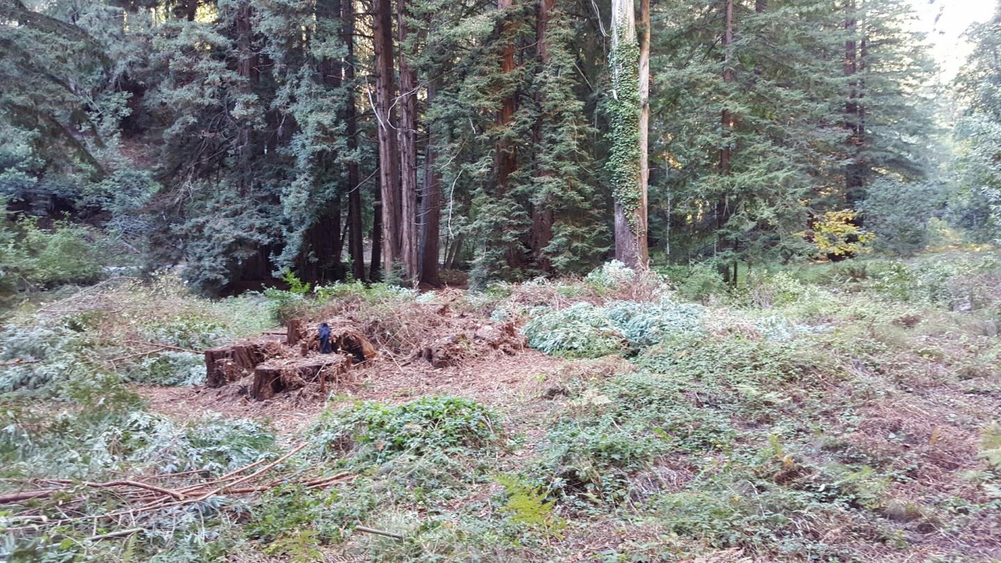 0 Porter Gulch Road Aptos, CA 95003 - Photo 1 of 4