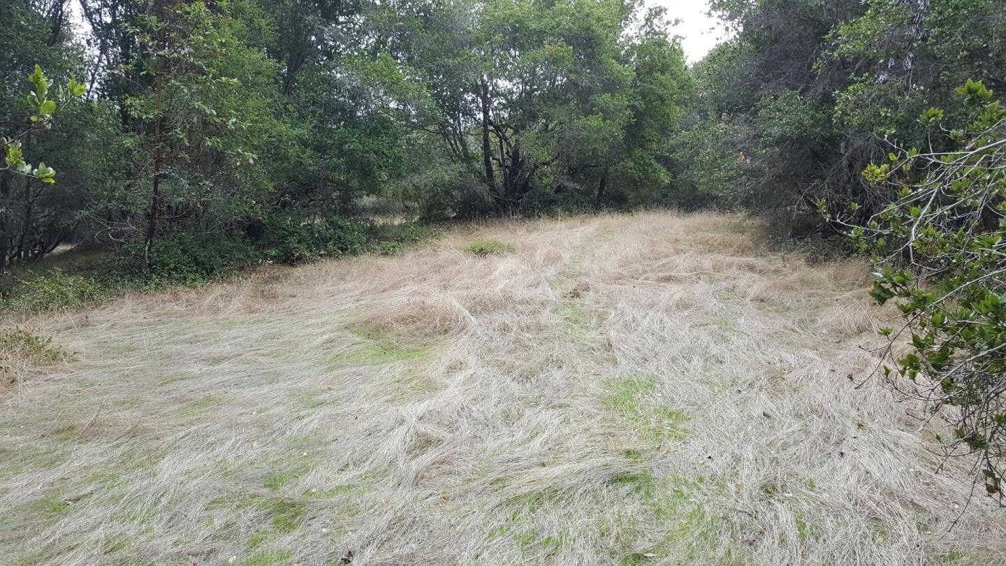 0 Porter Gulch Road Aptos, CA 95003 - Photo 4 of 4