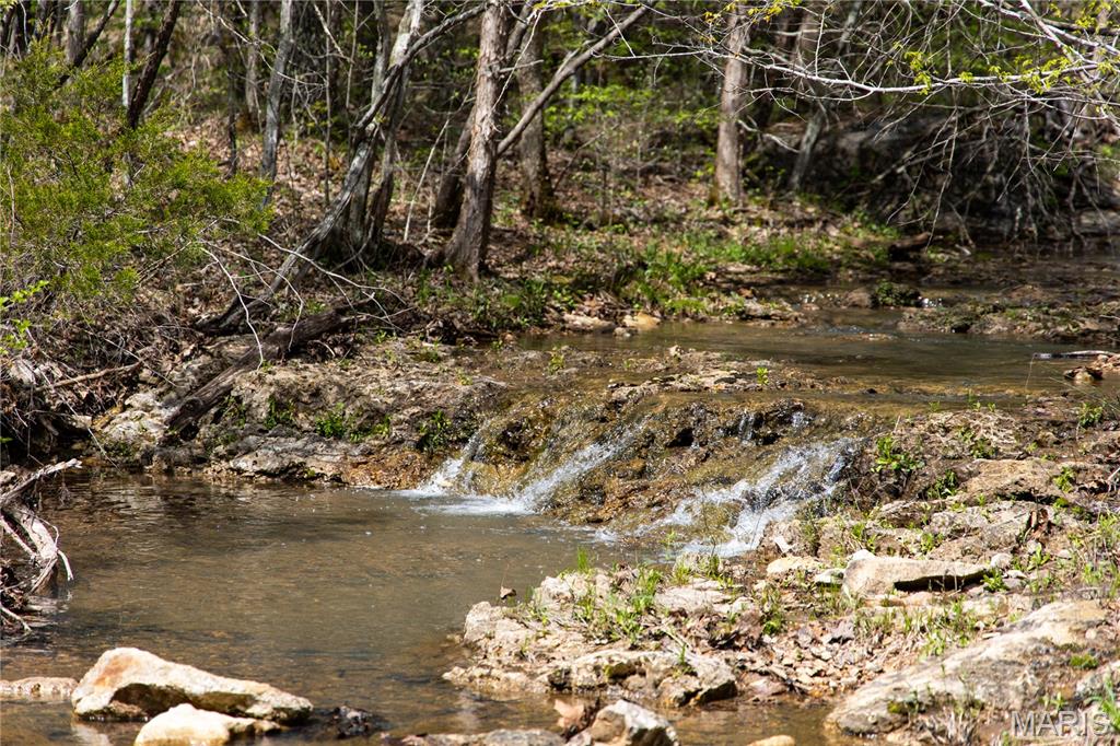 Lot 1 Short Road Blackwell, MO 63626 - Photo 6 of 20