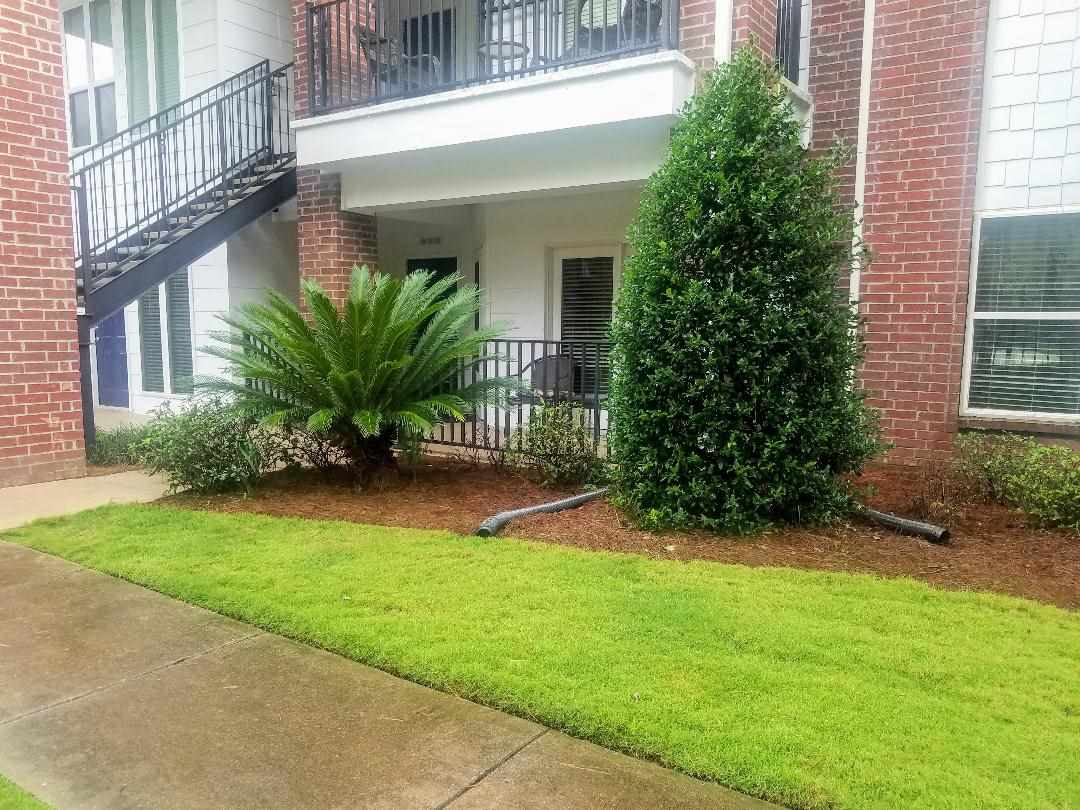 20050-3409 Oak Road East, Unit 3409 Gulf Shores, AL 36542 - Photo 1 of 50