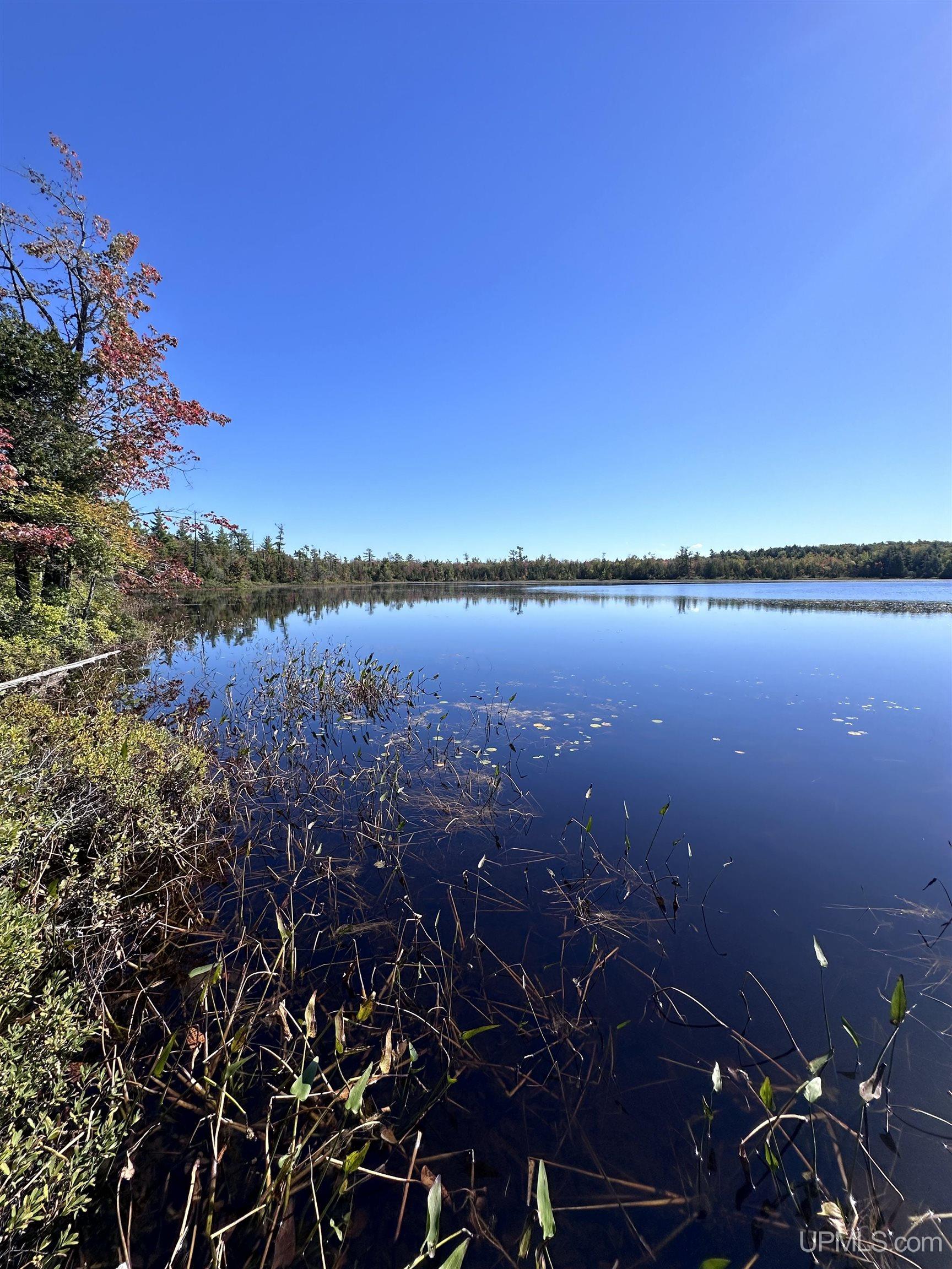 Tbd Tbd Howe Lake Road Deerton, MI 49822 - Photo 41 of 48