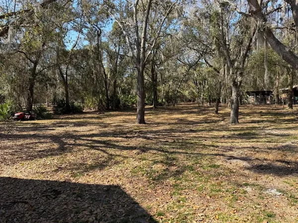 a view of outdoor space with trees