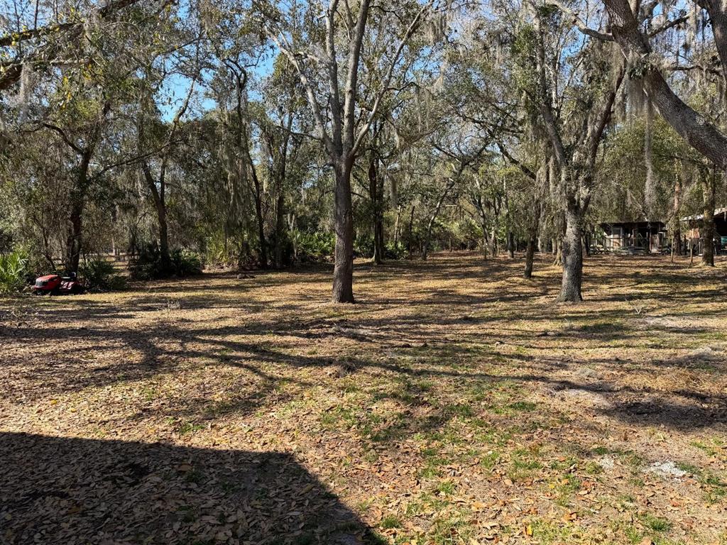 3450 Clark Road St. Cloud, FL 34772 - Photo 6 of 33