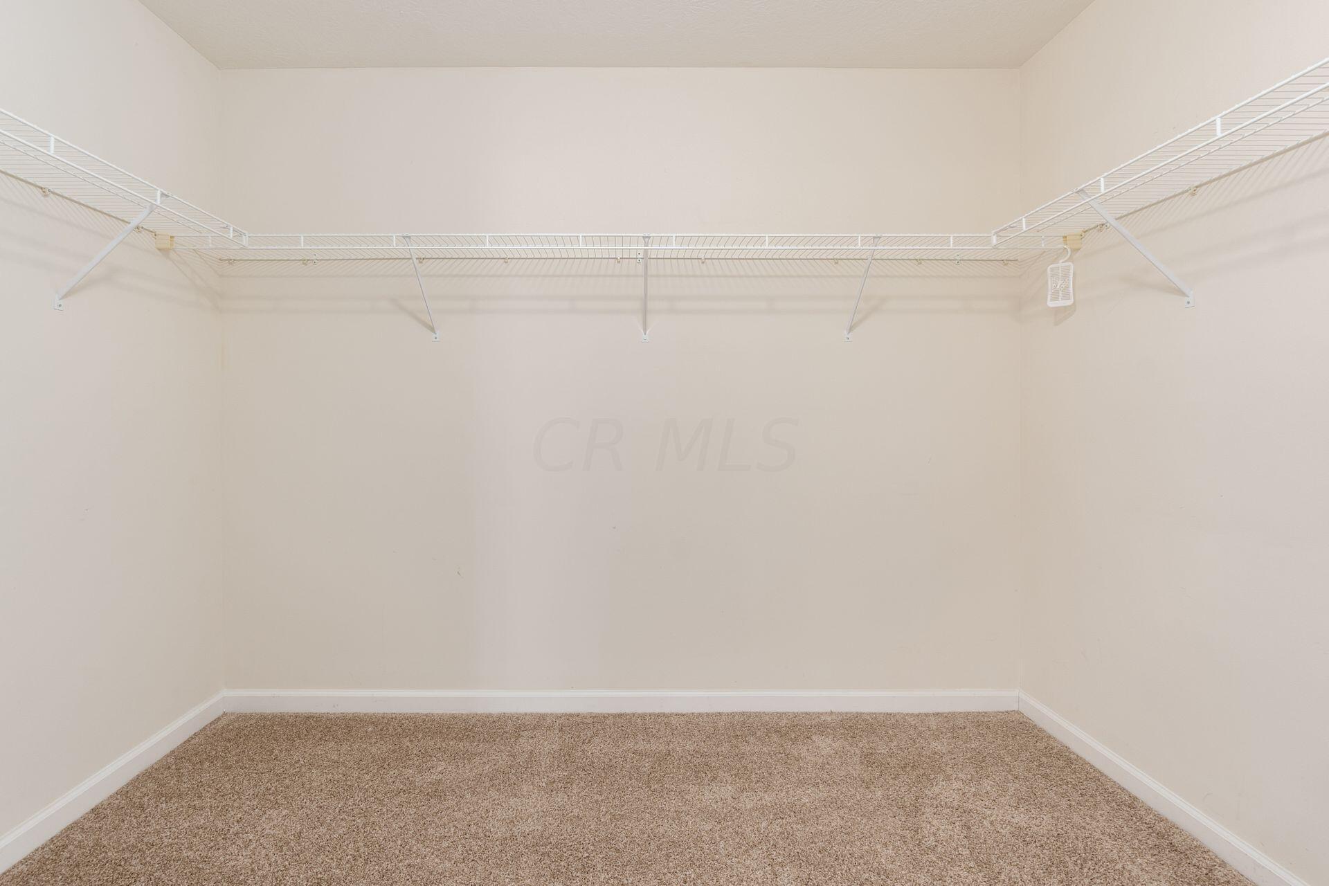 7965 Ravine Run Lane Columbus, OH 43235 - Photo 18 of 31 Owner Closet