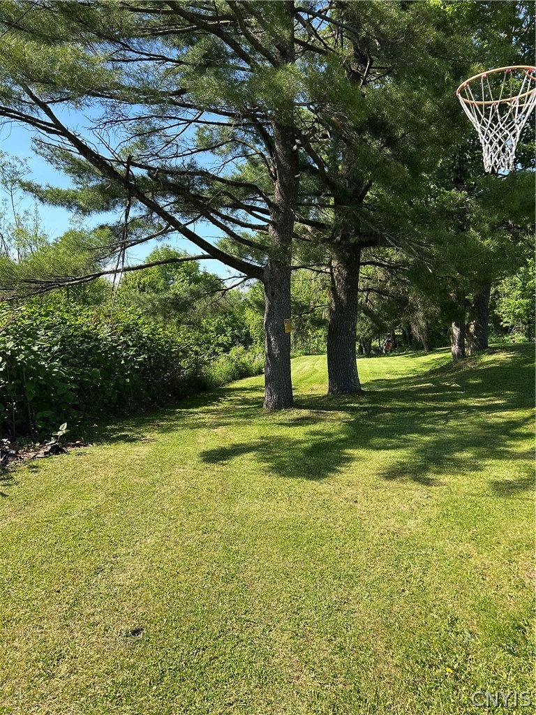 4729 Syrian Hill Road Solon, NY 13101 - Photo 45 of 46