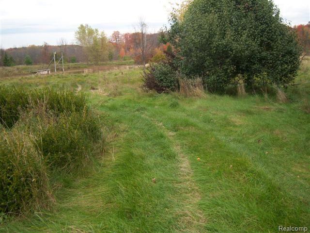 21133 30 Mile Road Ray, MI 48096 - Photo 7 of 9 100_9121