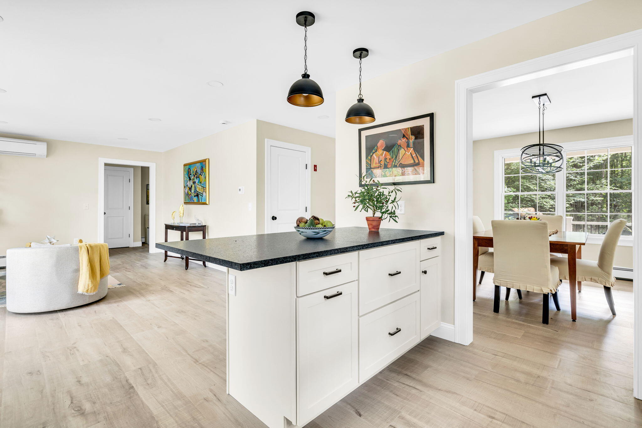 17 Hemon Cobb Road Windham, ME 04062 - Photo 10 of 32 11-web-or-mls-DSC09071