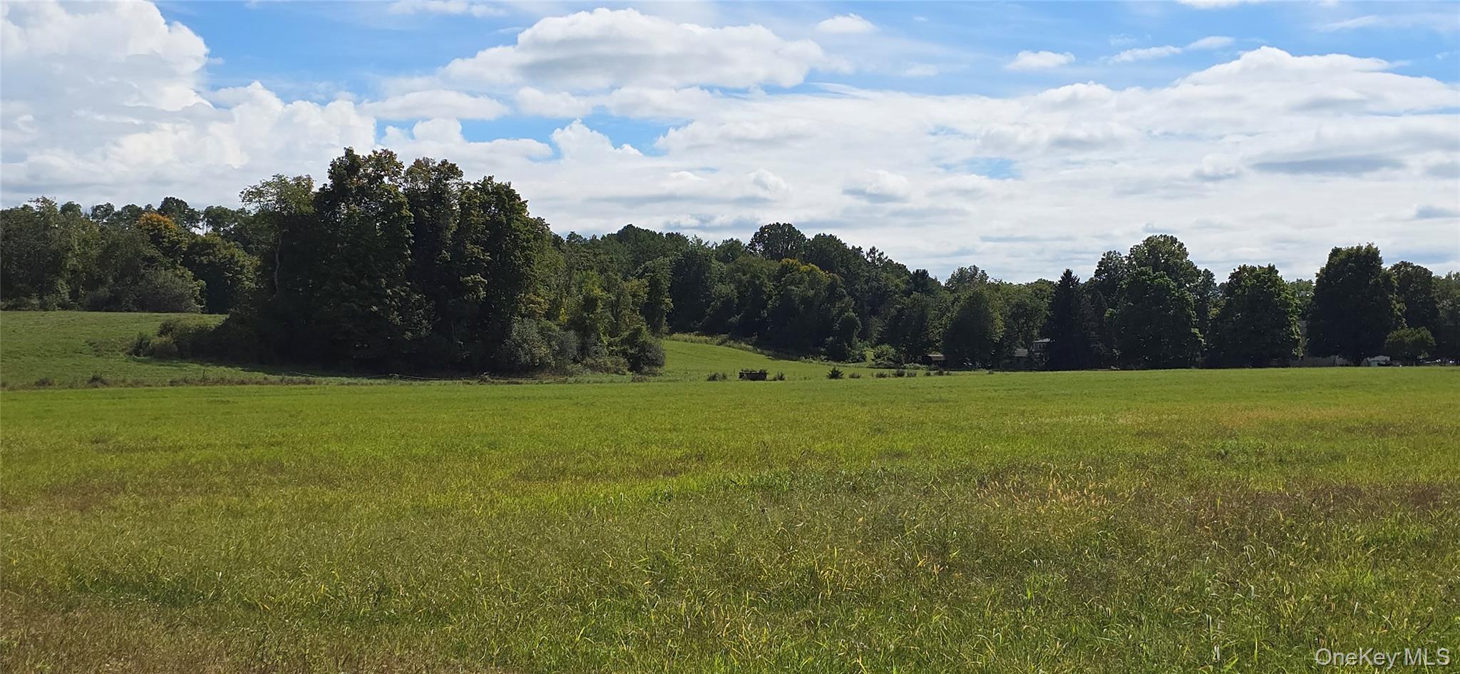 1198 82nd Route Hopewell Junction, NY 12533 - Photo 8 of 17 View of tree filled area with a view of countryside