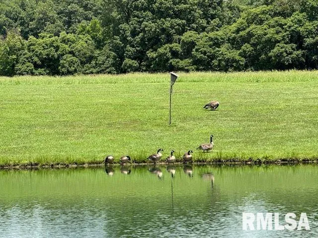 $628,000 | 14290 East Windsong Road, Mount Vernon, IL 62864