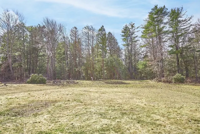 a view of a yard with trees