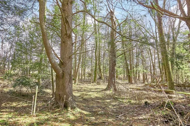 a view of outdoor space with trees