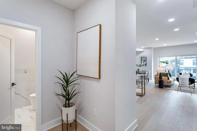 a living room with furniture and a potted plant