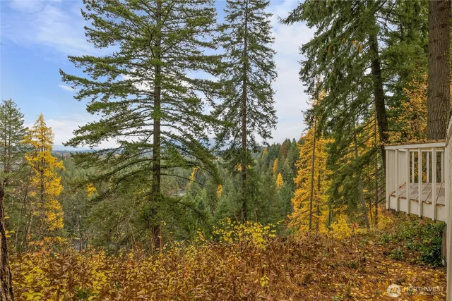 a view of a yard with plants and tree