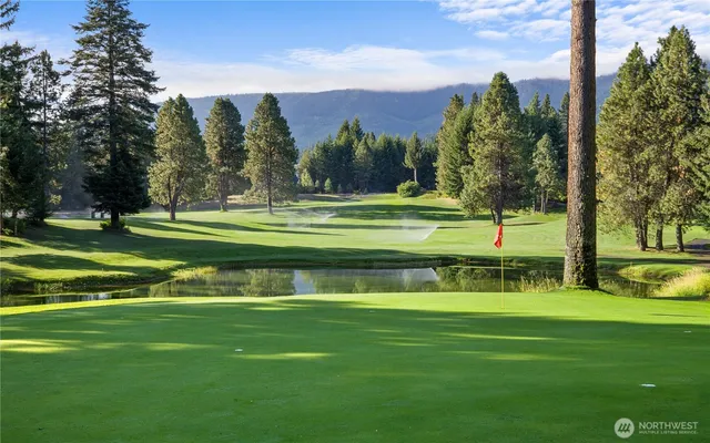 a view of a big yard with a trees