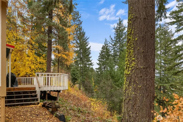 a view of a yard with large trees