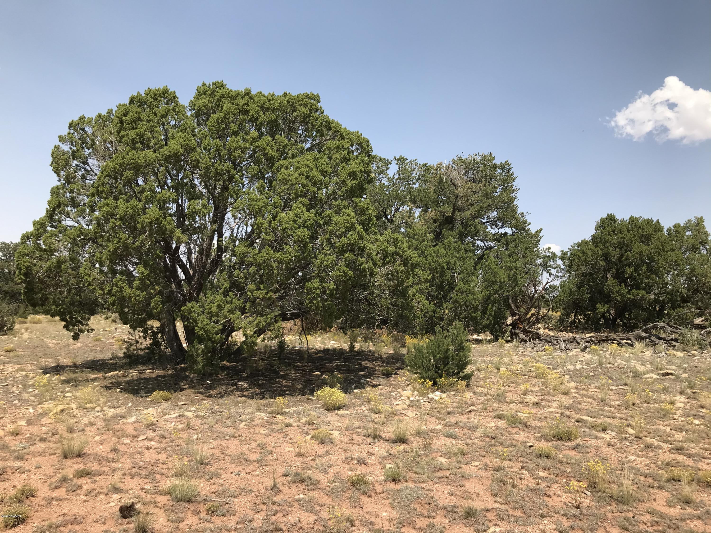 8346 Lariat Road Williams, AZ 86046 - Photo 7 of 11 93E1398E-A6FC-4DEE-8A7E-F3E3B99DC7D8