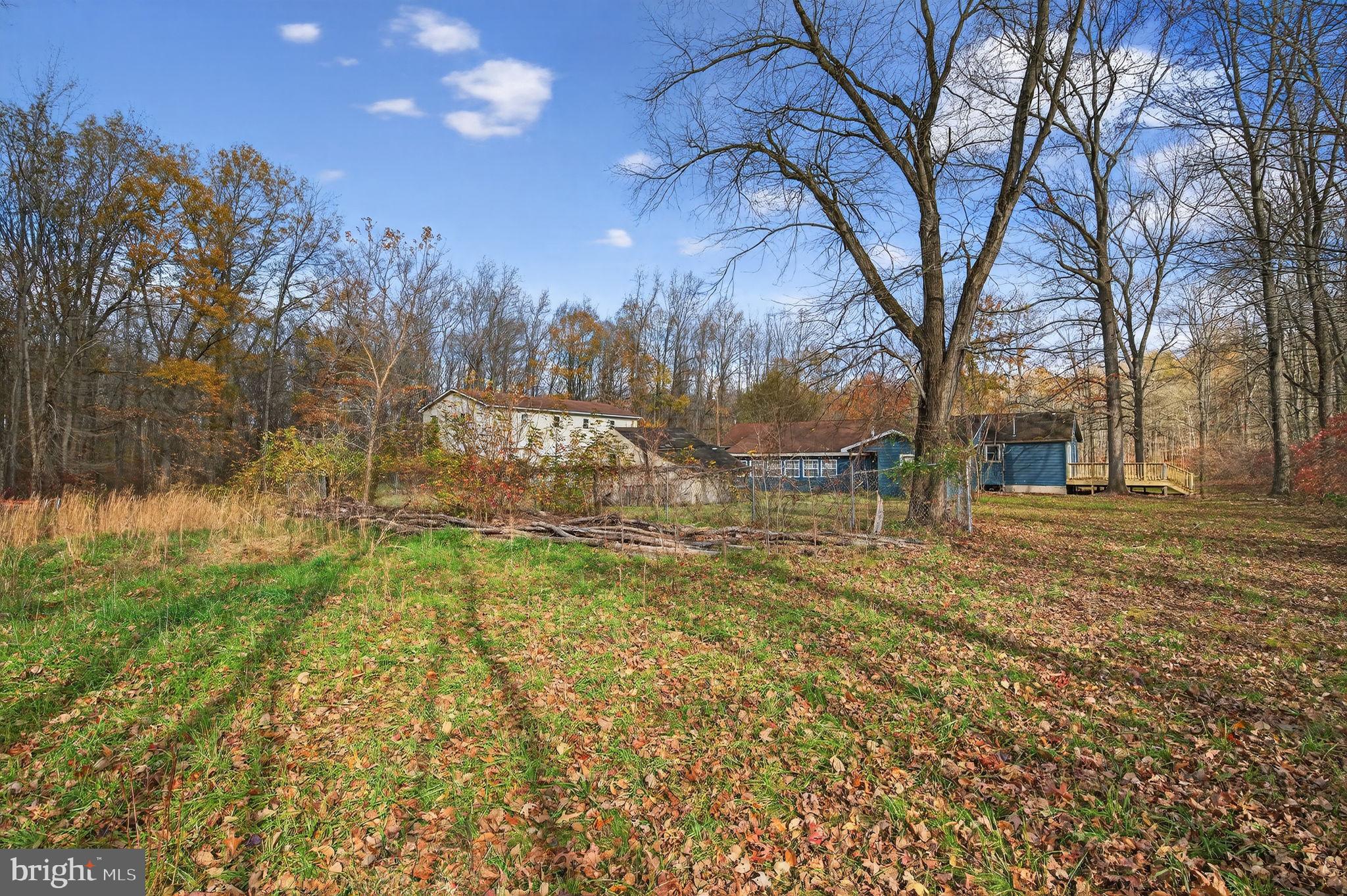 3337 Downs Chapel Road Clayton, DE 19938 - Photo 44 of 54 a view of yard with trees