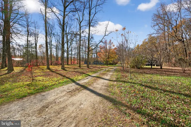 a view of road with trees