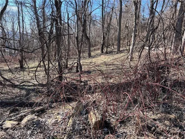 a view of a yard covered in snow