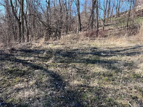 a view of side of large yard