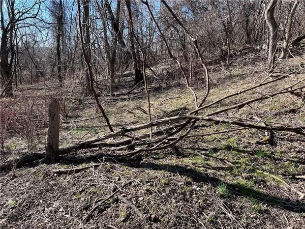 a view of a yard with wooden fence