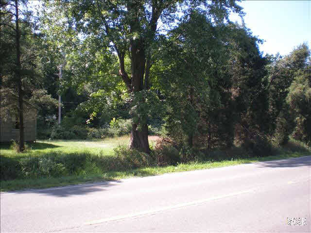 8801 Douglas Road Temperance, MI 48182 - Photo 4 of 6 20015863-3.JPG