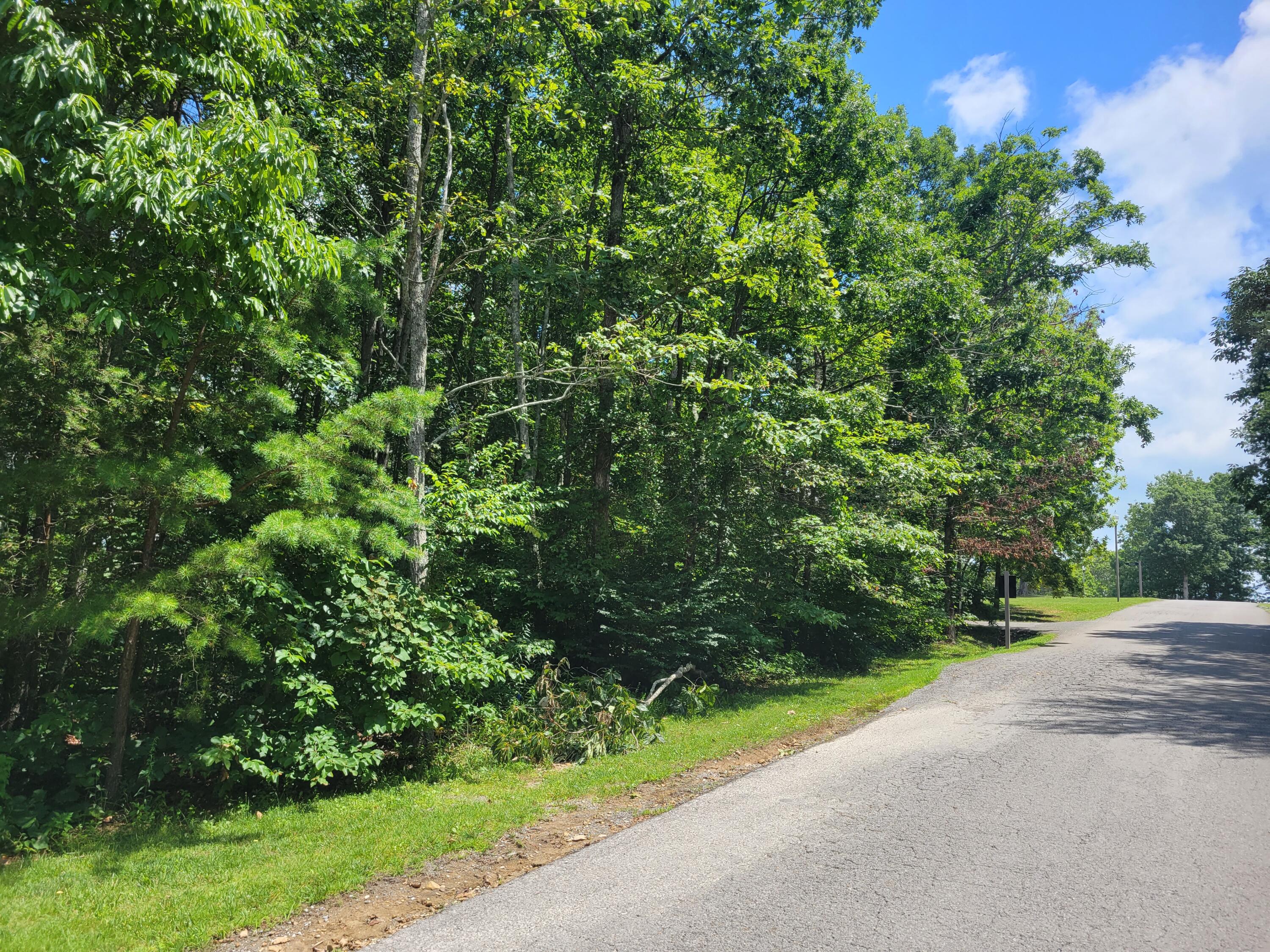 0 Sunshine Trail Rising Fawn, GA 30738 - Photo 2 of 5 20230708_122616