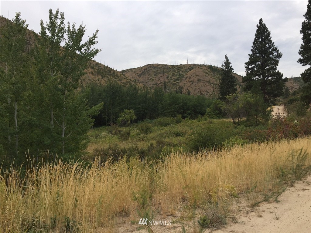 0 Johnson Creek Road Entiat, WA 98822 - Photo 8 of 10 Gallery Image 8