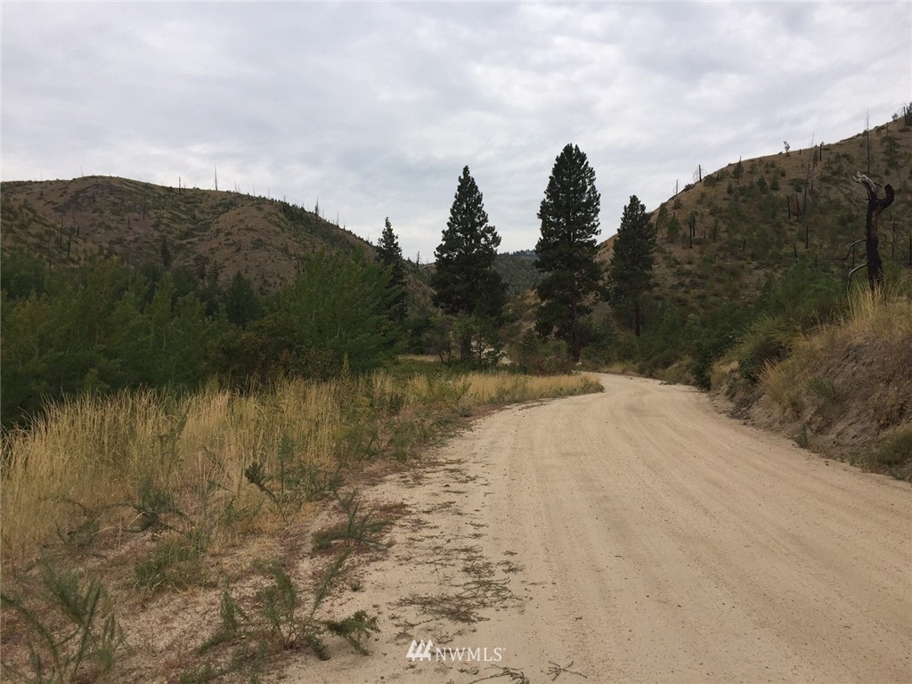 0 Johnson Creek Road Entiat, WA 98822 - Photo 9 of 10 Gallery Image 9