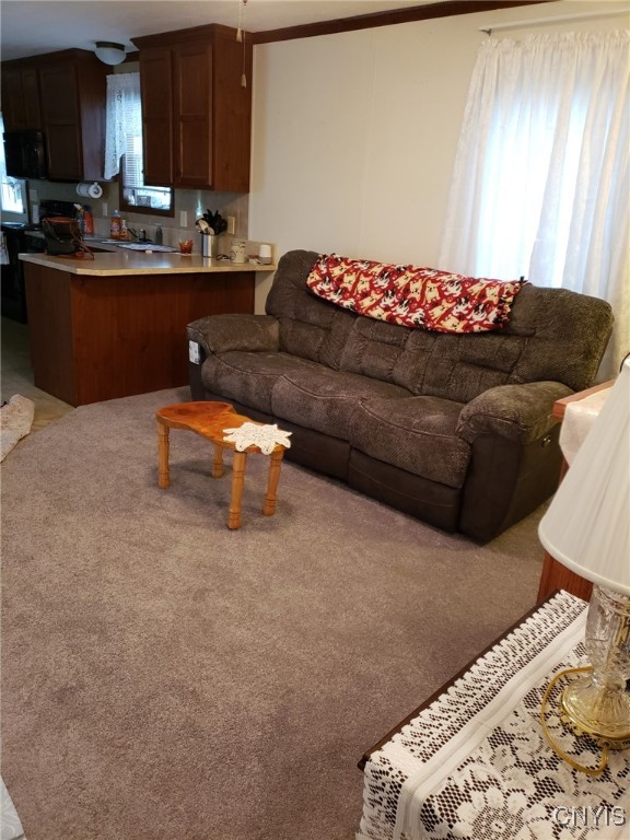 7422 Soule Road Floyd, NY 13440 - Photo 4 of 14 Living Room pic 2