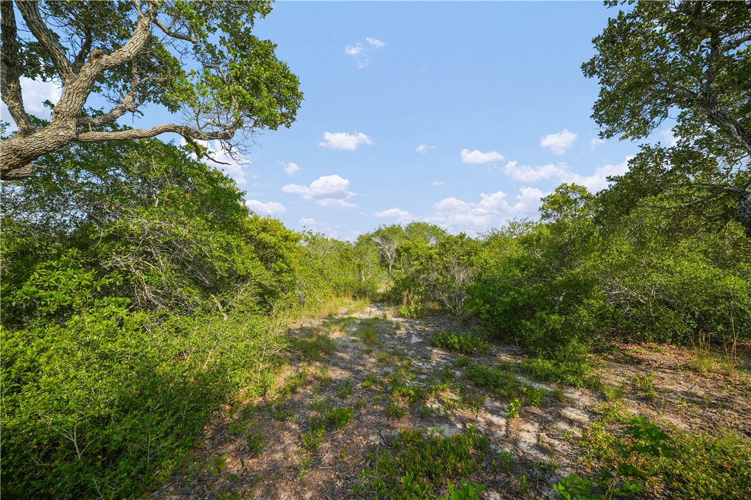 1508 Rhodes Avenue Aransas Pass, TX 78336 - Photo 29 of 30