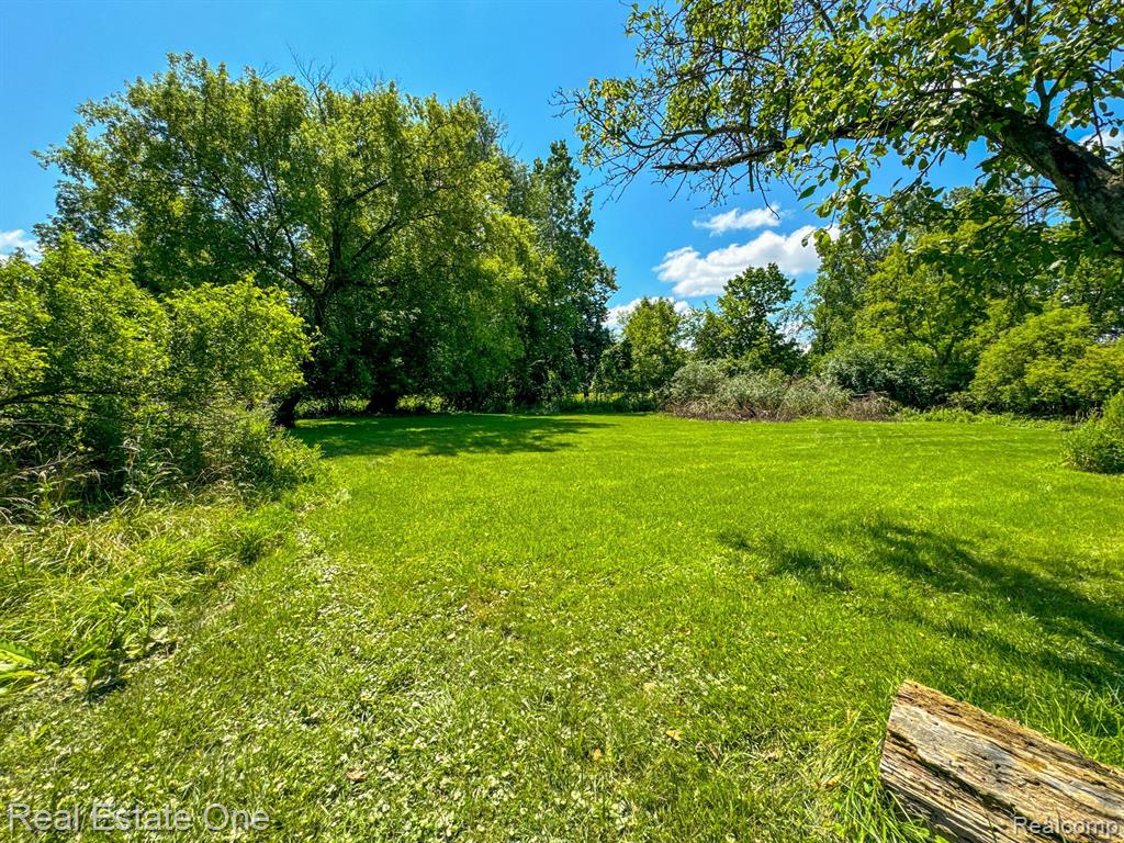30600 Lahser Road Beverly Hills, MI 48025 - Photo 10 of 59